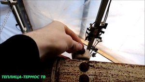Хлороз на огурцах! Какой именно?