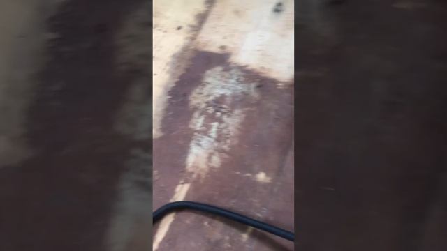 Remove paint from wood floor / снятие краски с деревянного пола