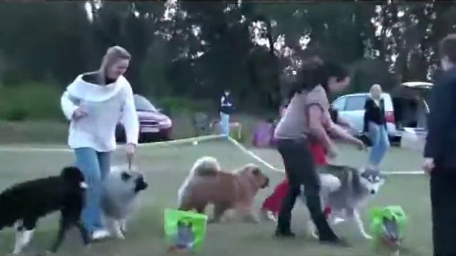 FCI 5, 18 09 2011, Brest смотреть онлайн