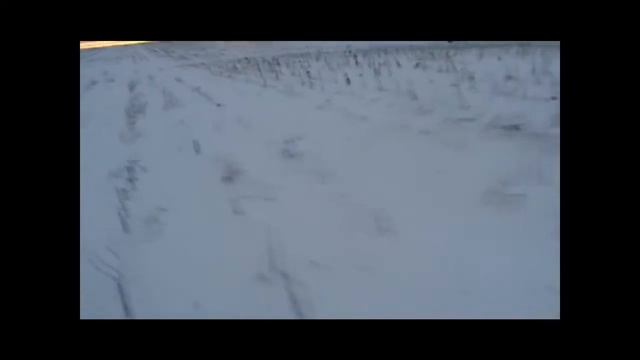 Секач быстрее снегохода. смотреть онлайн