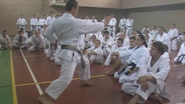 Масао Кагава семинар по Шотокан каратэ. Ч 1