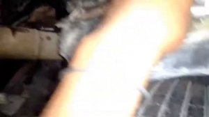 MERCEDES BENZ ACTROS 1841 OM 501 LA - 541 HOW TO REPLACE INJECTOR OR NOZZLES