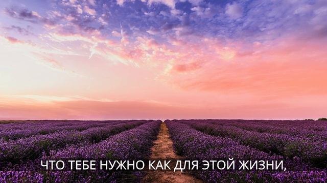 КОГДА ДЕЛА ИДУТ НЕ ТАК смотреть онлайн