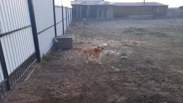 Купила себе обувь. Что же это такое?...??? 