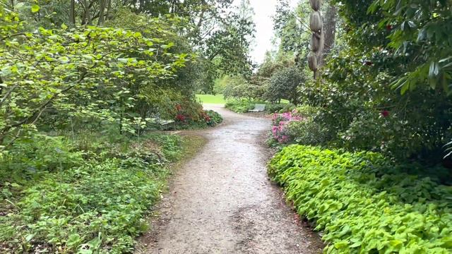 Forest garden inspirations | Garden full of flowers | Rhododendron , Peony ,Wisteria ,Camelia смотреть онлайн