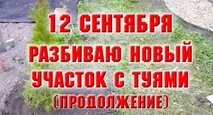 12 сентября. Разбиваю новый участок с туями (продолжение)