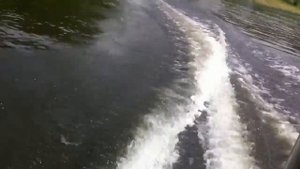 Ветерок 8