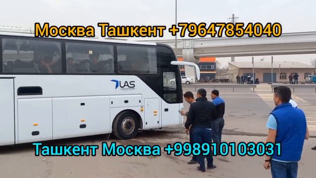 Москва Ташкент автобус Россия Узбекистан автобус