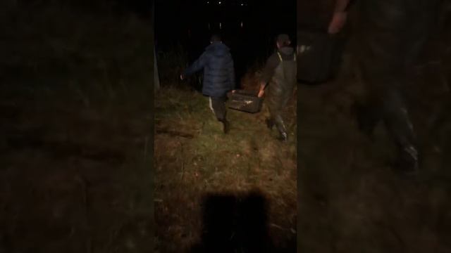 Запуск карпа 6 ноября 2018г Озеро Дарковичи #озеро32