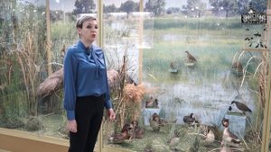 Видеоэкскурсия Элегантные и грациозные поганки