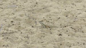 JW Marriot Hotel - Resort & Spa Mai Khao,Phuket