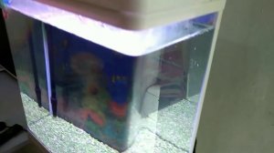 aquarium boyu m series MS-420M DC12V Lamp 7w