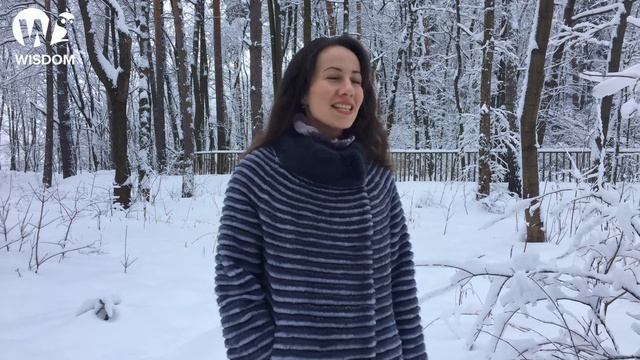 НАЧАЛЬНЫЙ УРОВЕНЬ (ELEMENTARY): УЧИМСЯ ГОВОРИТЬ О ЗИМНЕЙ ПОГОДЕ