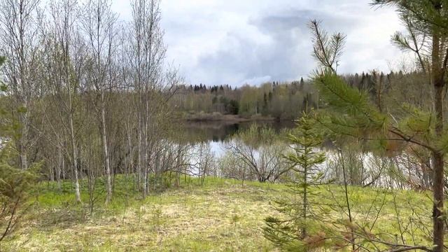 Брошенные деревни Архангельской области. смотреть онлайн