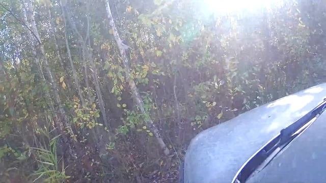 Offroad покатушки
