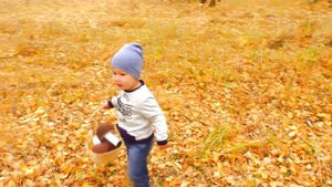 Малыш собирает в лесу грибочки с сюрпризами Funny baby videos