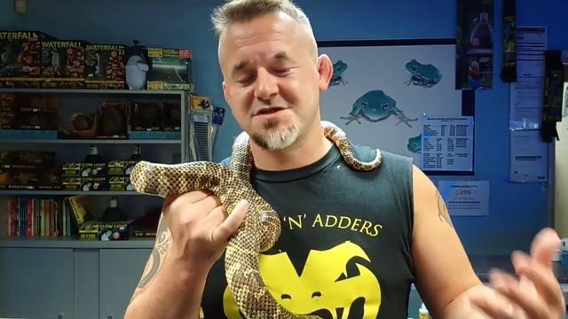 S'N'A GUIDES : Latin or Scientific Names (a basic introduction) смотреть онлайн