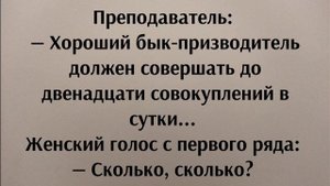 Анекдот про 12 совокуплений в сутки | Анекдот до слёз | Угарный Анекдот от Жеки | Смешно.