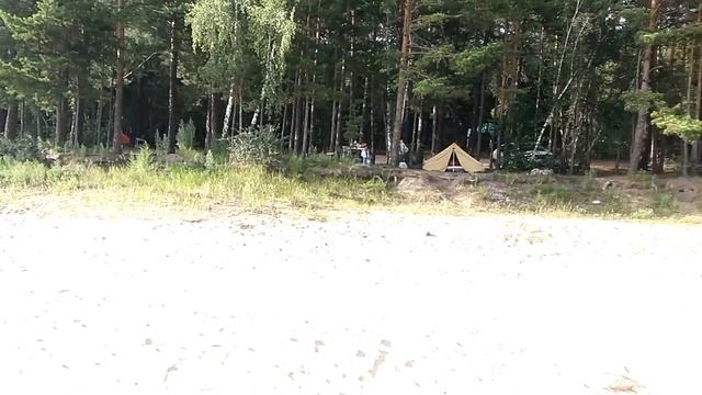 Отдых в сосновом бору на песчаном пляже смотреть онлайн