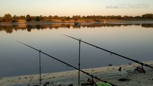 Рыбалка на фидер.Такого я не ожидал!Рыбалка на реке Кубань.