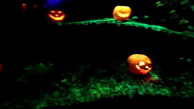 HALLOWEEN 🎃 MASHA & The BEAR RIDE 🐻@ LAND of LEGENDS AQUA THEME PARK in ANTALYA TURKEY 🦃 CORONAVIRU смотреть онлайн