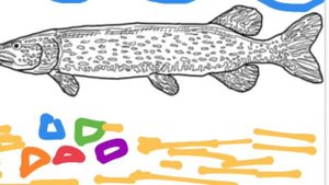 СКАЗКА  «ПРО ЗВЕЗДУ МАНЮ»15 октября 2020 г.