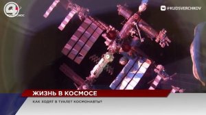 Факты о жизни космонавтов в космосе, которые вы не знали