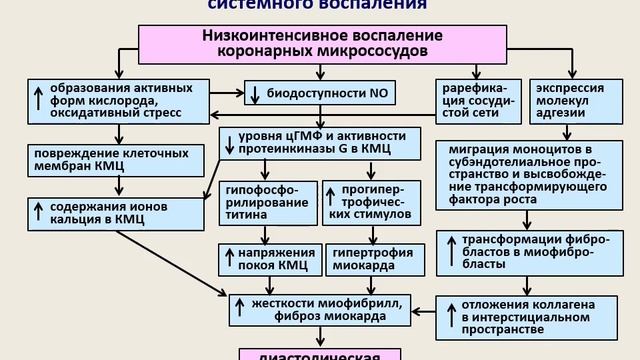 ХСН с сохраненной фракцией выброса левого желудочка. Лечение. Введение. смотреть онлайн