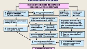 ХСН с сохраненной фракцией выброса левого желудочка. Лечение. Введение.