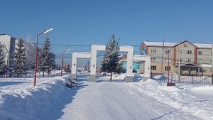 Выбралась в городской парк. Зимняя природа Боготола. Vlog