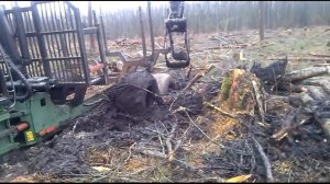 Вырвали форвардер из болота трактором мтз 82