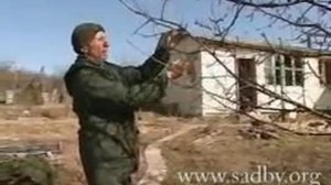 Обрезка деревьев на даче || Строение дерева. Чего добиваемся обрезкой? ©