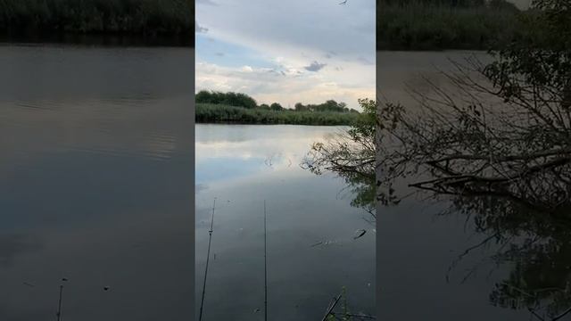 Рыбалка Нововеличковская р.Понура смотреть онлайн