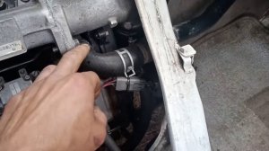 как переделана система охлаждения двигателя wlt wl mazda ford