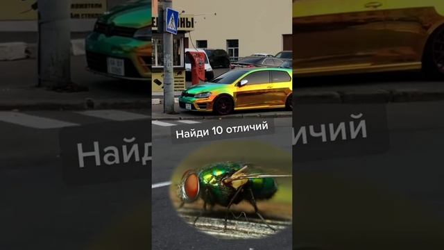 Самый лучший таксопарк ?