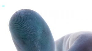 BEEs VISION КАК ВИДЯТ ПЧЕЛЫ, ПОСМОТРИ НА МИР ИХ ГЛАЗАМИ