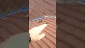 Конденсат под металлочерепицей! Простая гидроизоляция на утеплитель! Так нельзя!!!