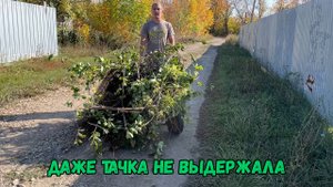 Даже тачка не выдержала