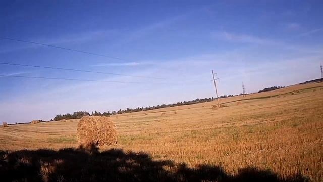 ОХОТА НА ВИТЮТНЯ / BIRD HUNTING. @rybalkasohotoj смотреть онлайн