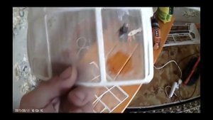 Сплит Система в которой живут Мыши!!!