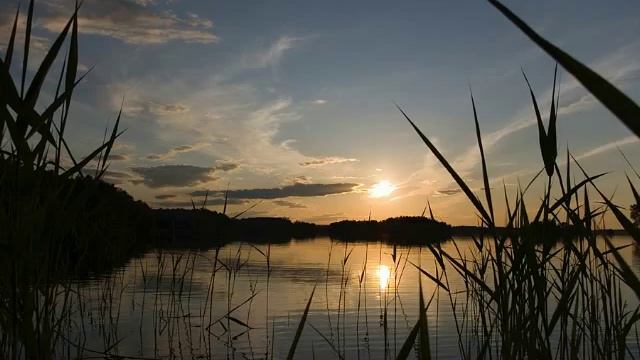 Надежда Плевицкая. Чайка/ Nadezhda Plevitskaya - The Seagull смотреть онлайн