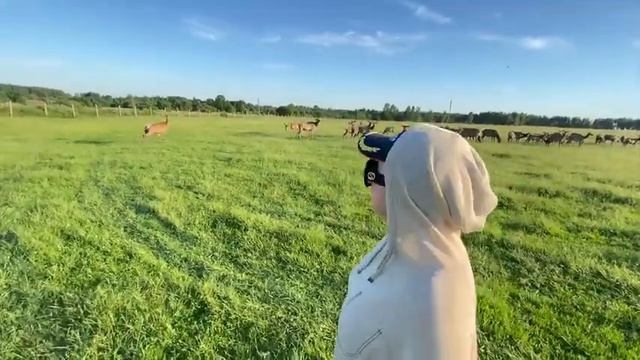 Деревня по Успенски. Любовь Успенская в деревне. 19 июня 2020 смотреть онлайн