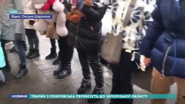 Тварин з приватного Покровського зоопарку перевезуть до Запорізької області смотреть онлайн