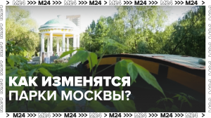 Как обновятся папки Москвы? — Москва24|Контент