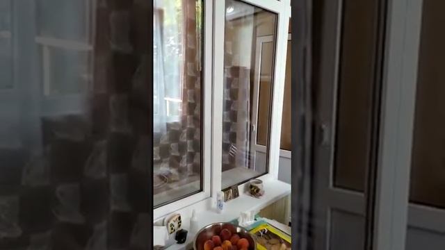 Продажа 2-комнатной квартиры, 33 м2, эт. 2/2, Орджоникидзе пгт, Нахимова ул, 10