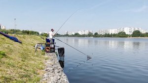 Рыбалка в Братеево!ФИдер на Москва реке #ловлялеща #москварека #братеево