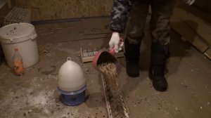 24.02.18.  Обзор привезённых голубей с Донецка.  Олег Костяков .Самара