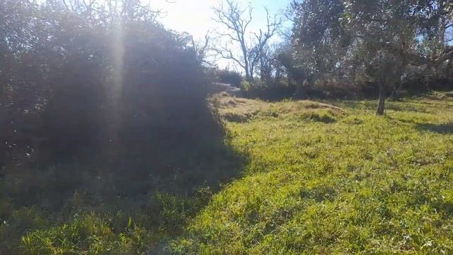 Farm - 1775m2 - 2 wells - Ocreza River - Castelo Branco - Portugal. Price: 34.900€ смотреть онлайн