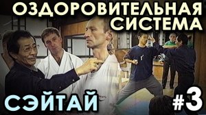 Семинар по СЭЙТАЙ Хошу ИКЕДЫ – 3: единство БОЕВОГО и ОЗДОРОВИТЕЛЬНОГО.