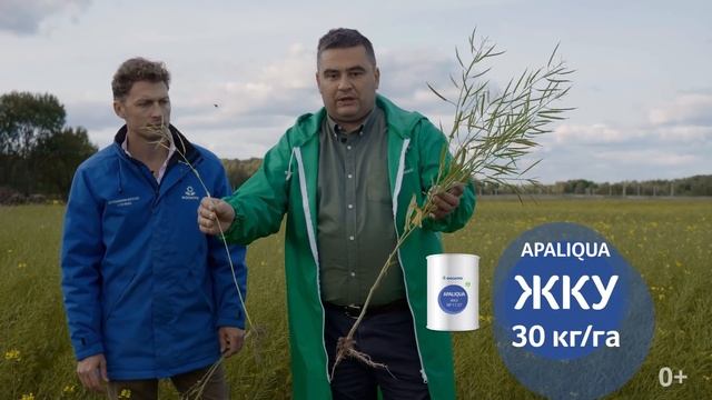 Жидкие комплексные удобрения. Часть 2. Результаты применения